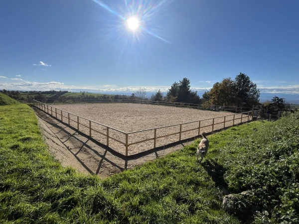 manège à chevaux
